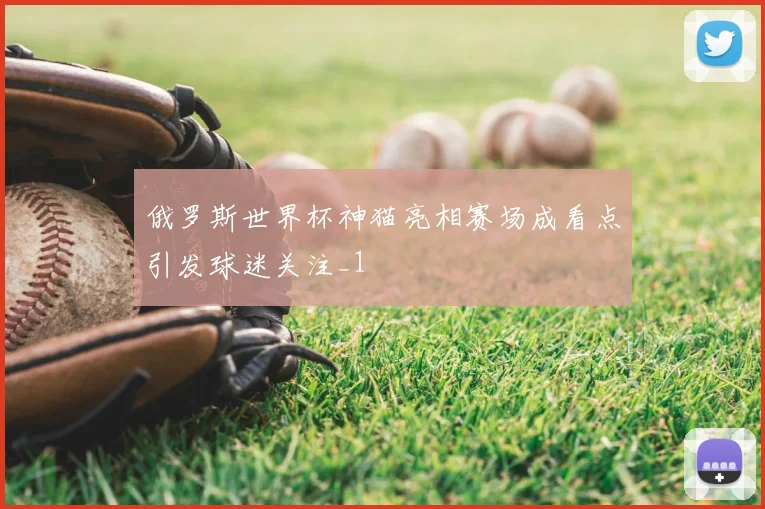 俄罗斯世界杯神猫亮相赛场成看点引发球迷关注_1