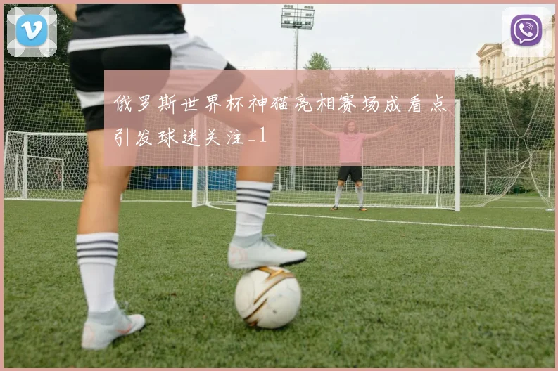 俄罗斯世界杯神猫亮相赛场成看点引发球迷关注_1